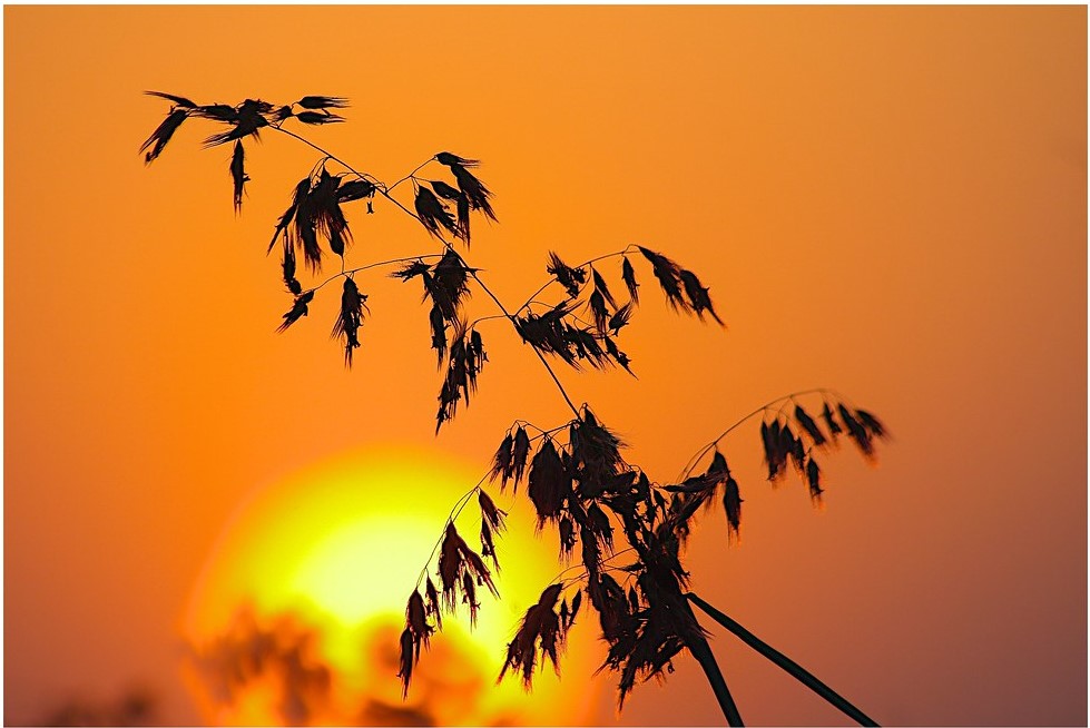 Leetcode problem 13 - Roman to Integer | Problem and solution