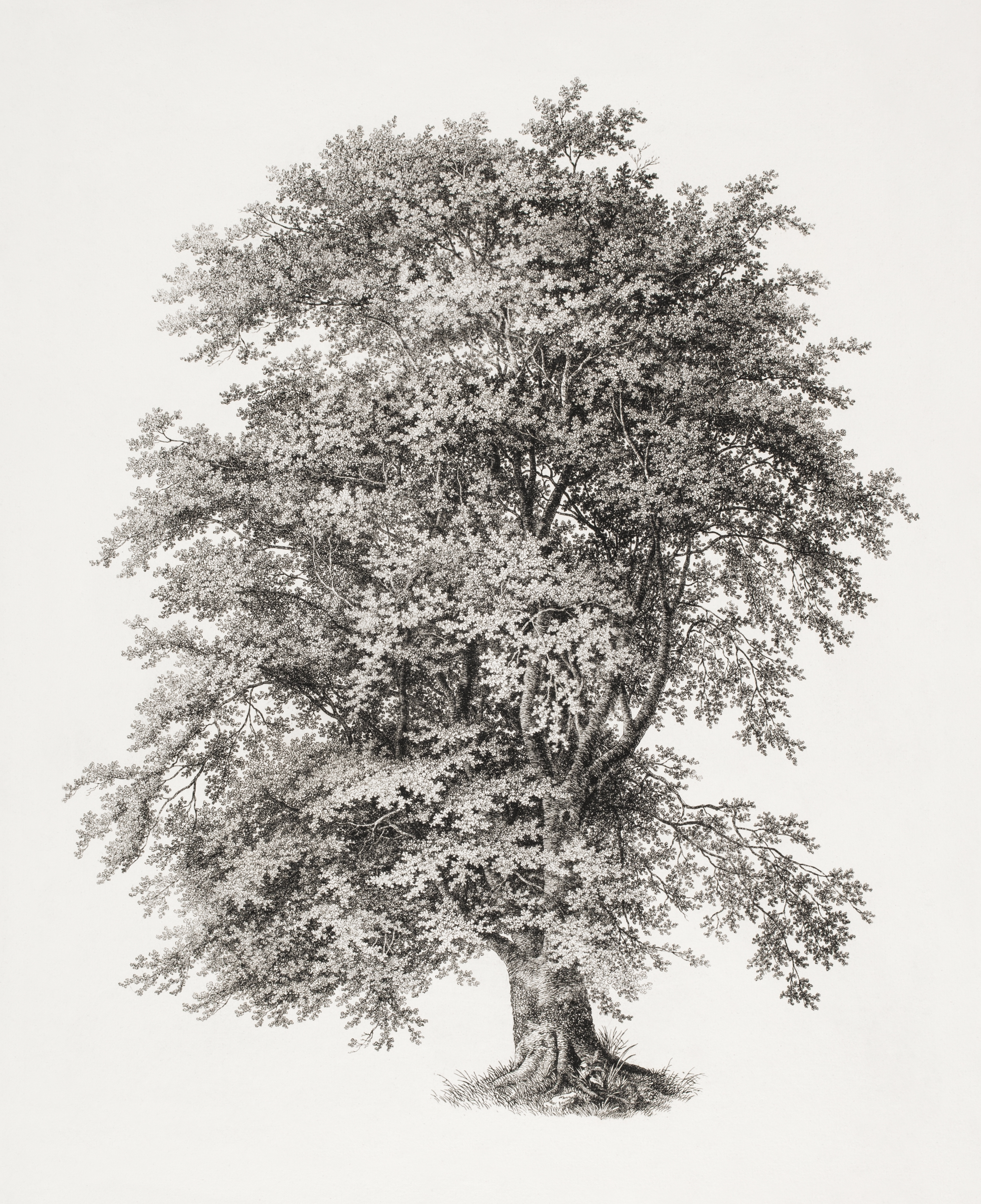 Leetcode problem 15 - 3Sum | Problem and solution