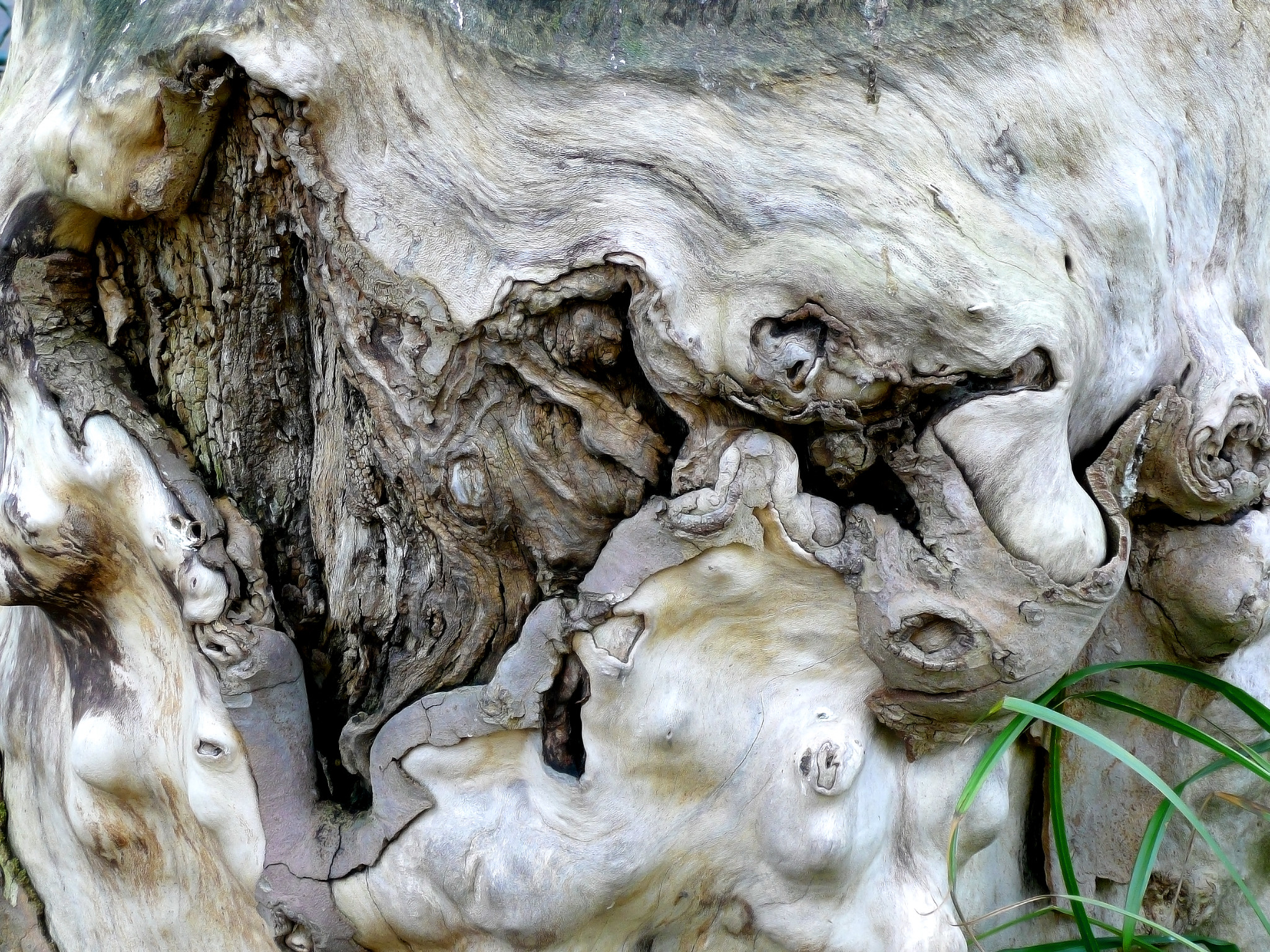 Leetcode problem 17 - Letter Combinations of a Phone Number | Problem and solution